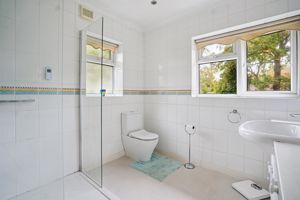 Photo 17- click for photo gallery